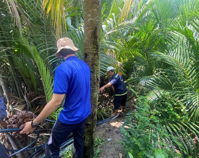 dmk031025_3.jpg (200 KB)